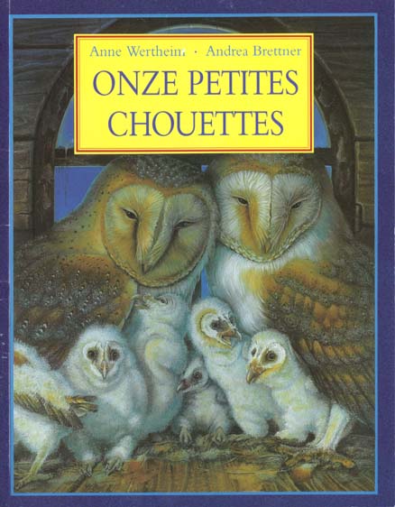 Onze petites chouettes