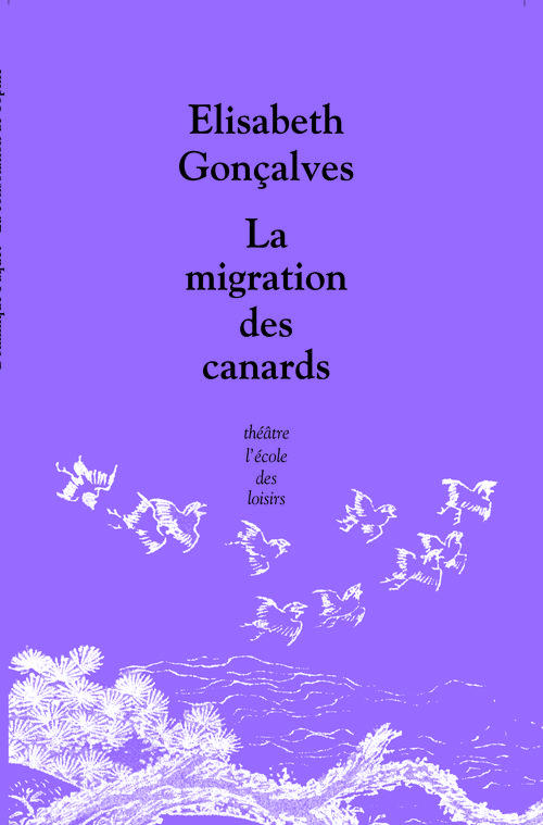 La migration des canards