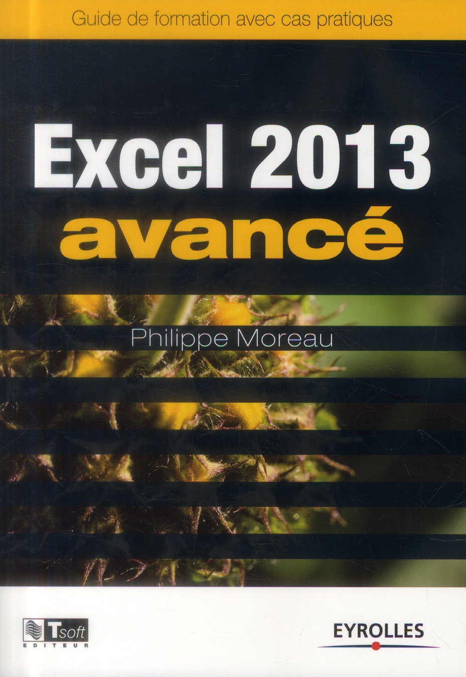 Excel 2013 avancé. Guide de formation avec cas pratiques