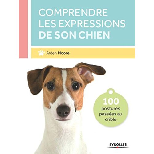 Comprendre les expressions de son chien. 100 postures passées au crible
