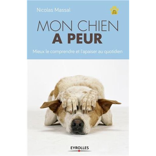 Mon chien a peur. Mieux le comprendre et l'apaiser au quotidien