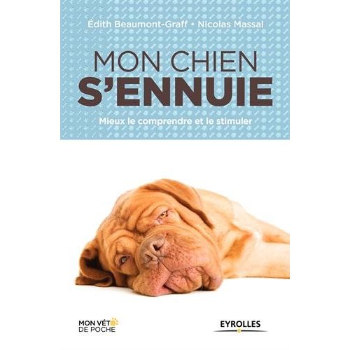 Mon chien s'ennuie. Mieux le comprendre et le stimuler