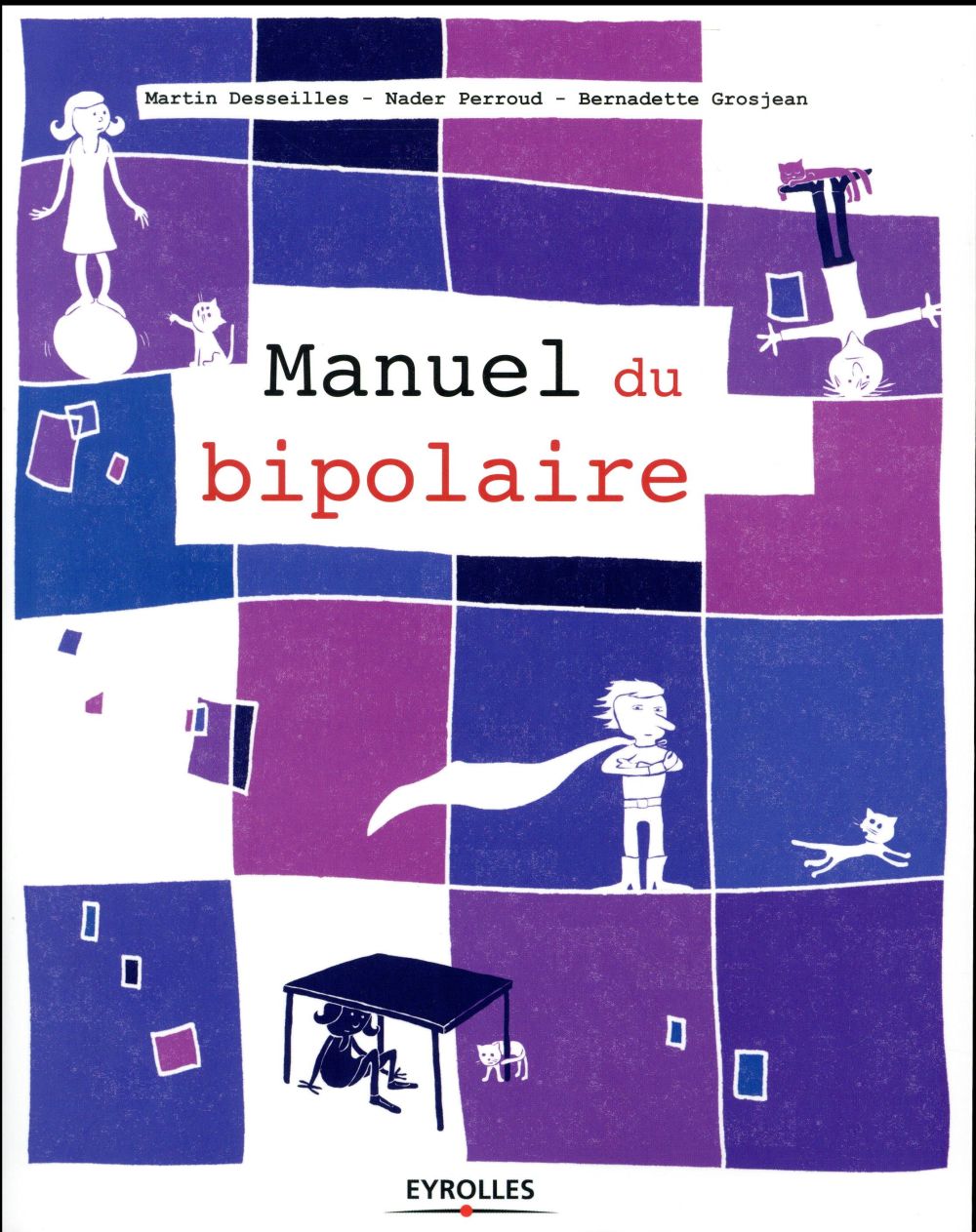Manuel du bipolaire