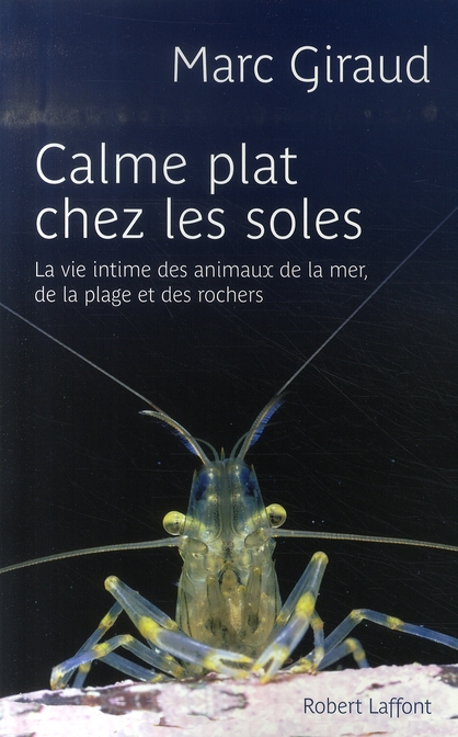 Calme plat chez les soles. La vie intime des animaux de la mer, de la plage et des rochers