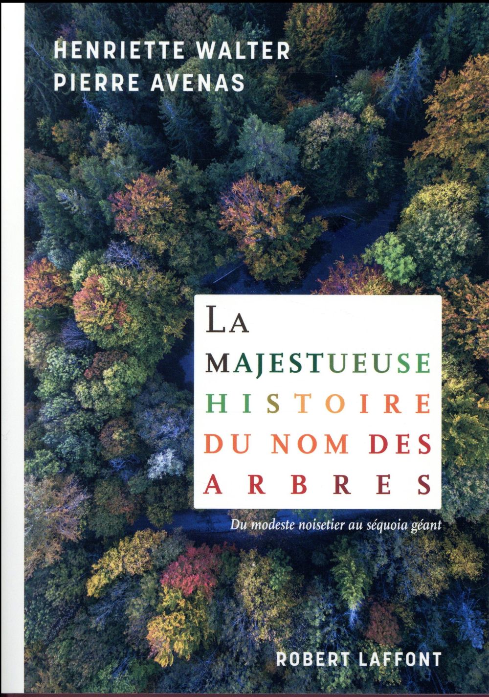 La majestueuse histoire du nom des arbres. Du modeste noisetier au séquoia géant