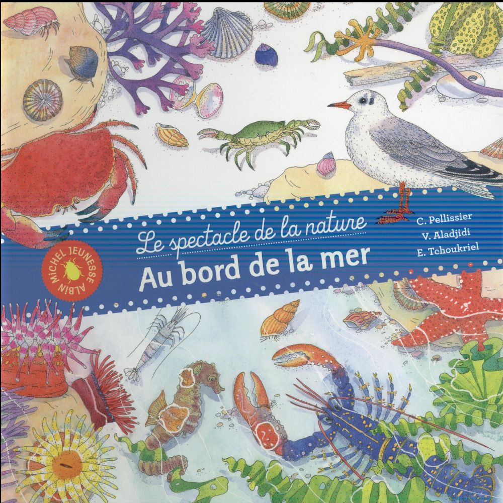 Au bord de la mer