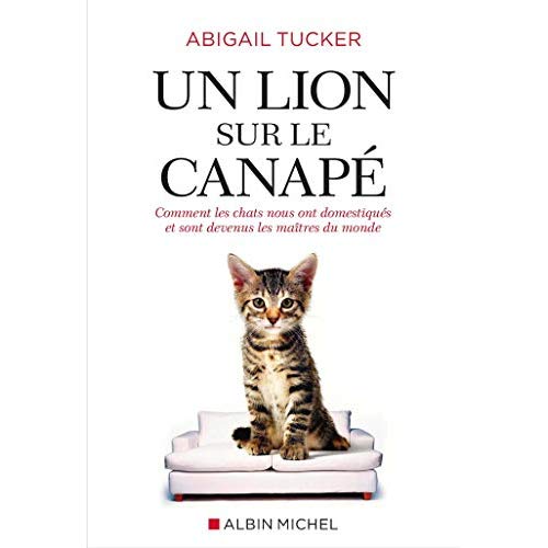 Un lion sur le canapé. Comment les chats ont pris le pouvoir