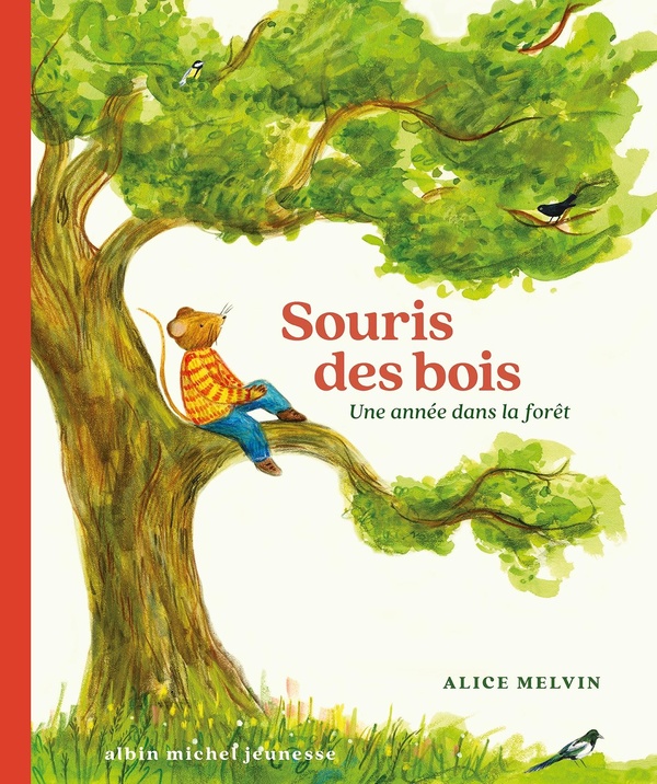 Souris des bois. Une année dans la forêt