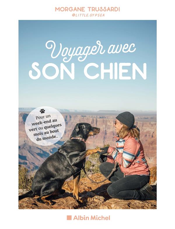 Voyager avec son chien