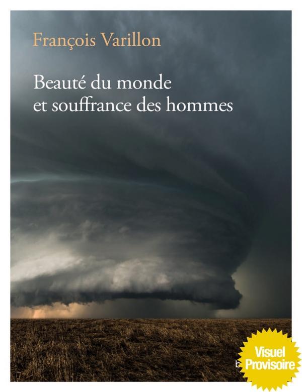 Beauté du monde et souffrance des hommes. Entretiens avec Charles Ehlinger