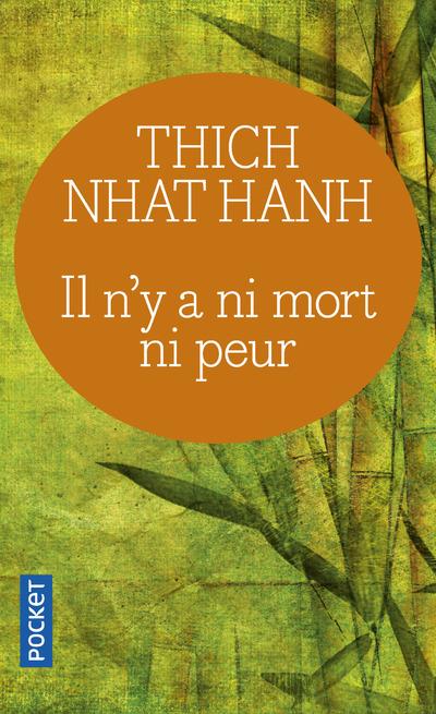 Il n'y a ni mort ni peur. Une sagesse réconfortante pour la vie