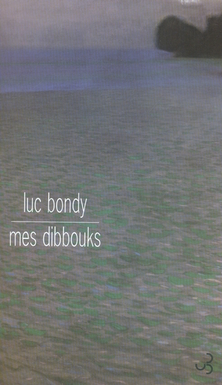 Mes dibbouks. Rêves améliorés