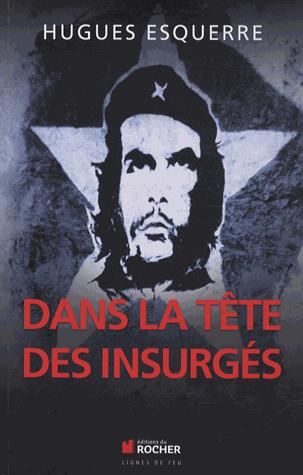 Dans la tête des insurgés