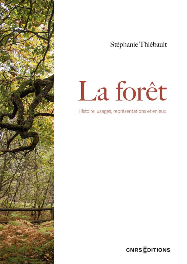 La forêt. Histoire, usages, représentations et enjeux