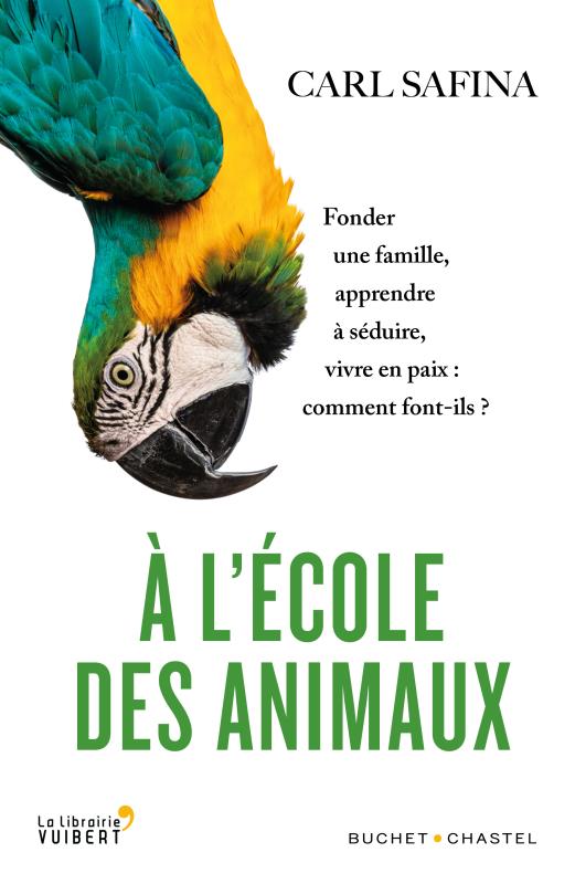 A l'école des animaux. Fonder une famille, apprendre à séduire, vivre en paix : comment font-ils ?