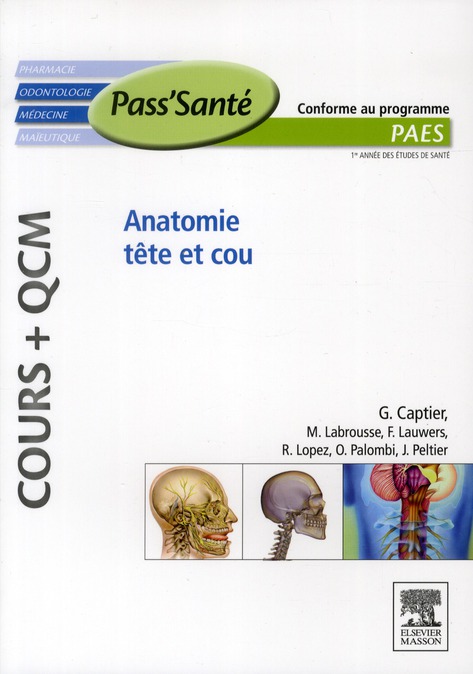Anatomie tête et cou