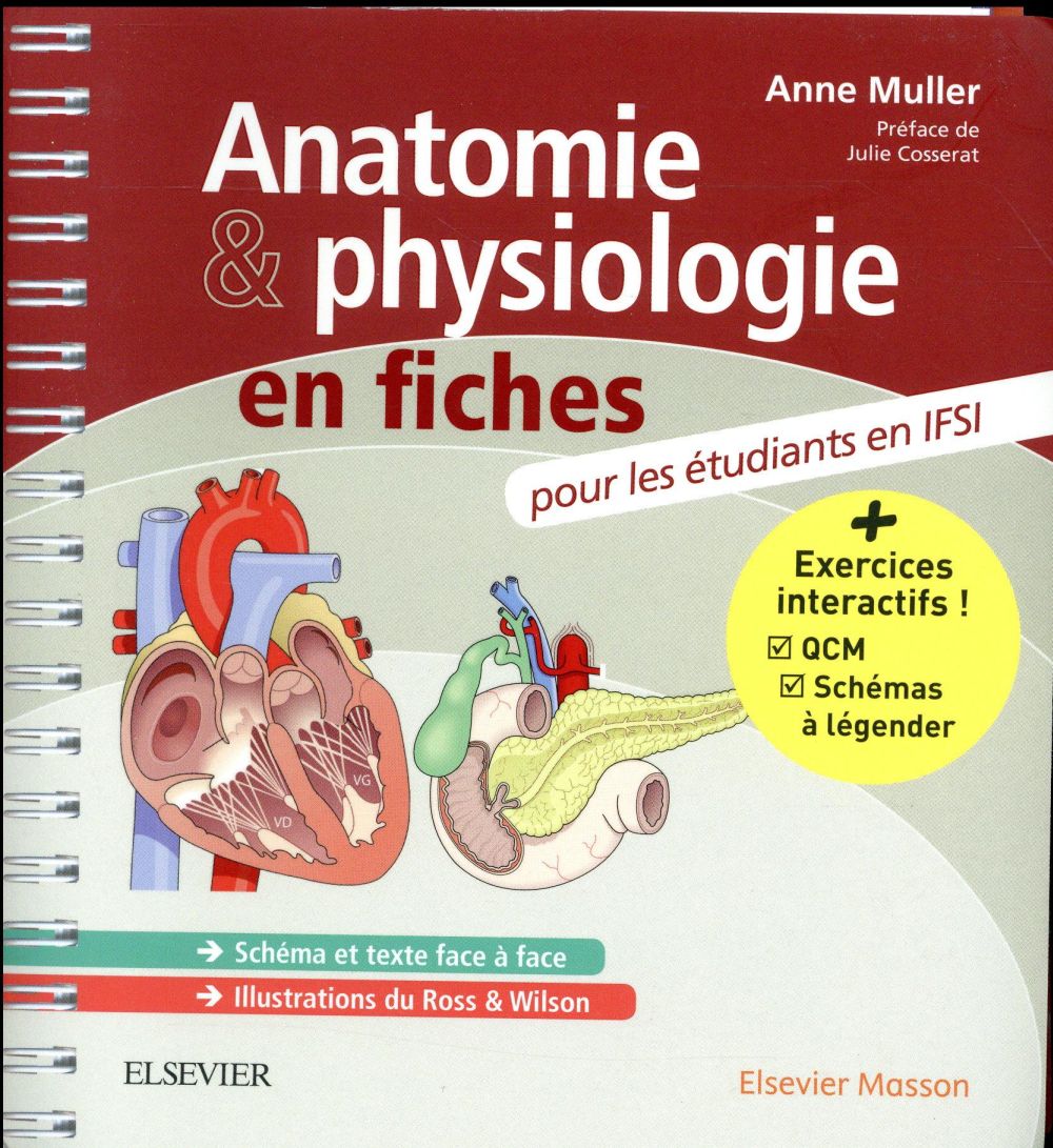 Anatomie et physiologie en fiches pour les étudiants en IFSI
