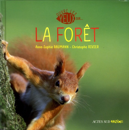 La forêt