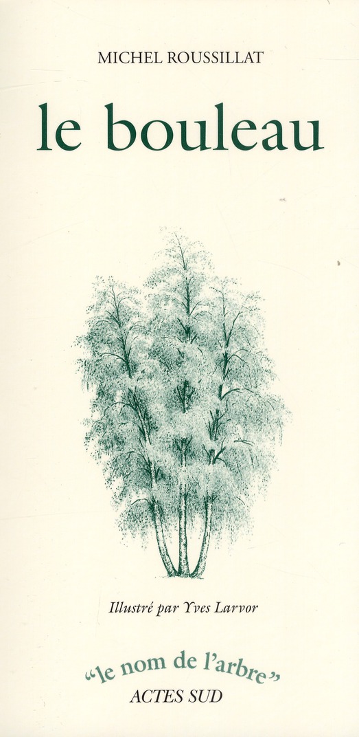 Le bouleau