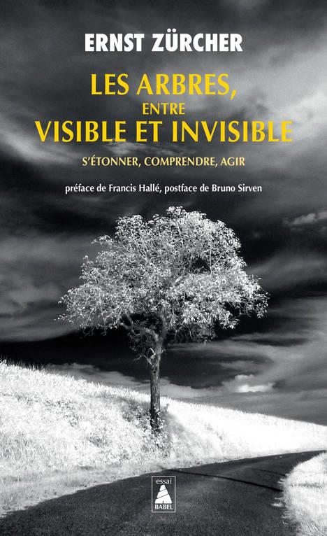 Les arbres, entre visible et invisible. S'étonner, comprendre, agir