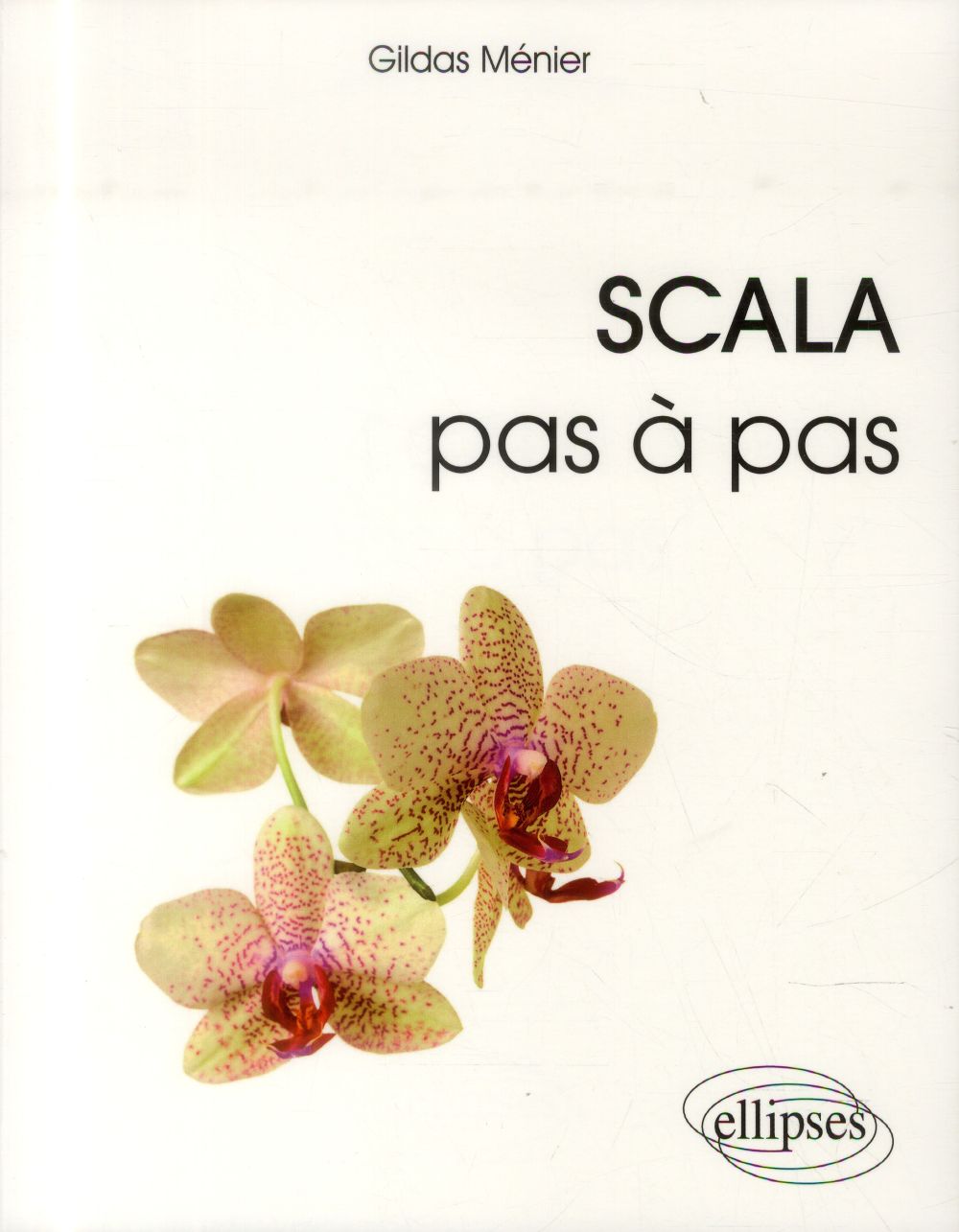 Scala pas à pas