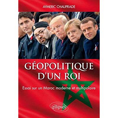 Géopolitique d'un roi. Essai sur un Maroc moderne et multipolaire