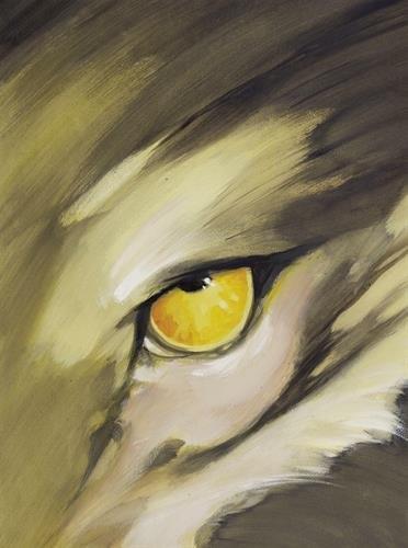 Meutes Tome 1 : Lune rouge avec making of. 2 volumes