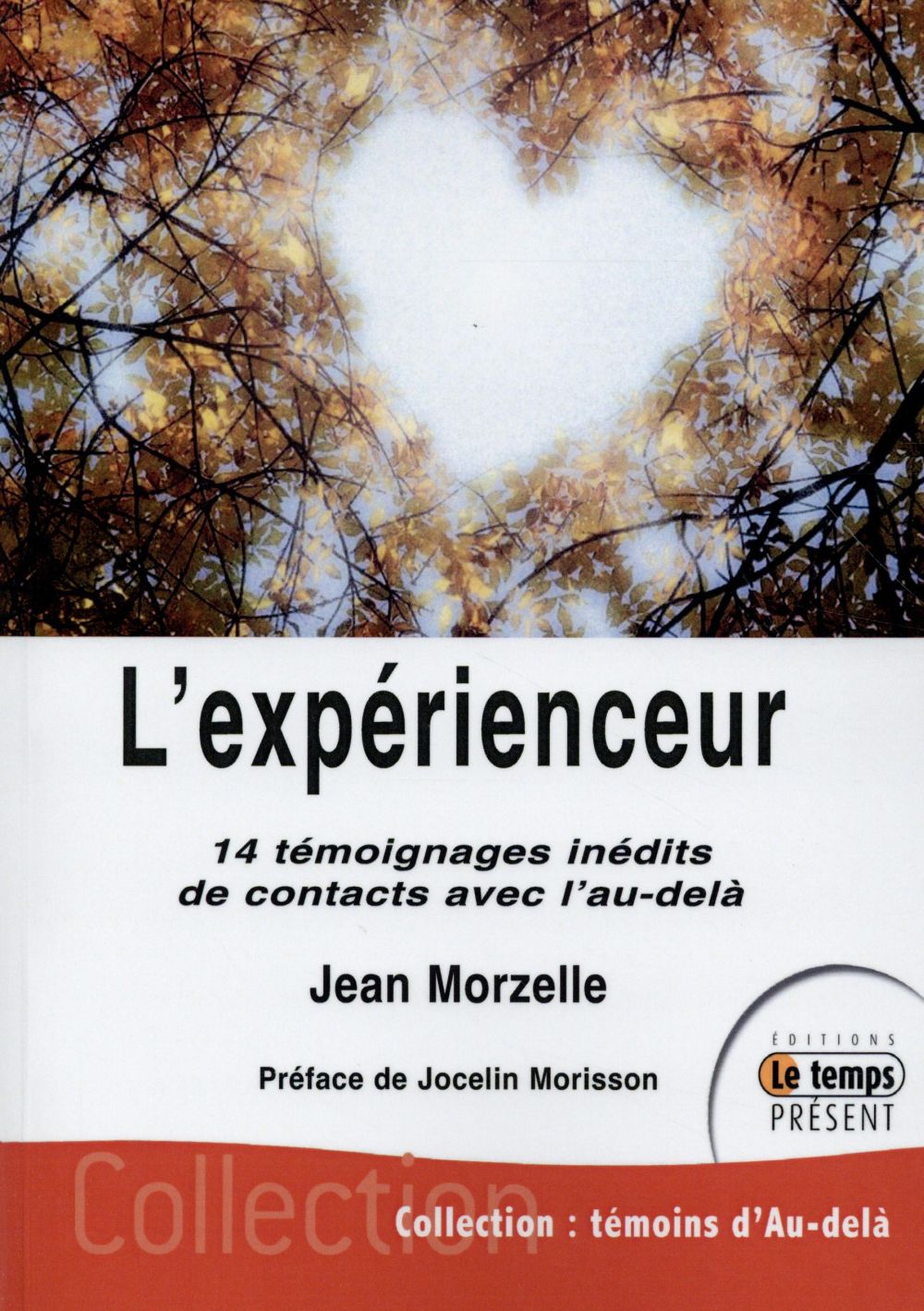 L'expérienceur. 14 témoignages inédits de contacts avec l'au-delà