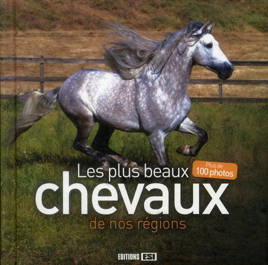 Les plus beaux chevaux de nos régions