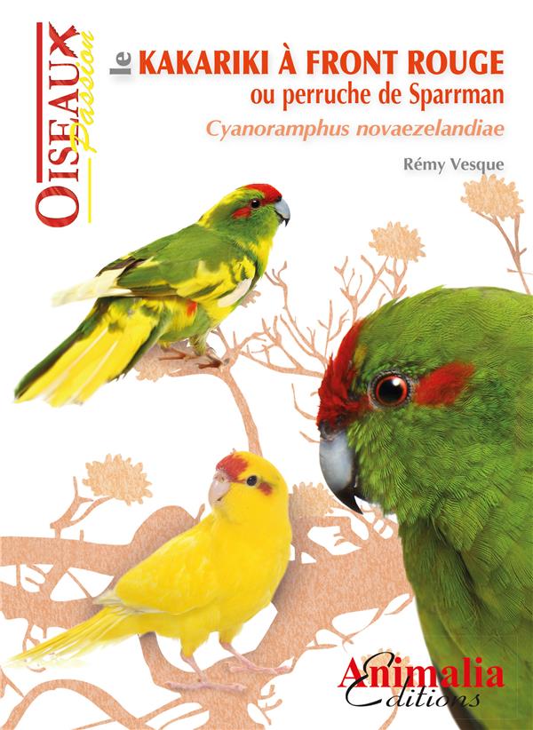 Le kakariki à front rouge ou perruche de Sparrman