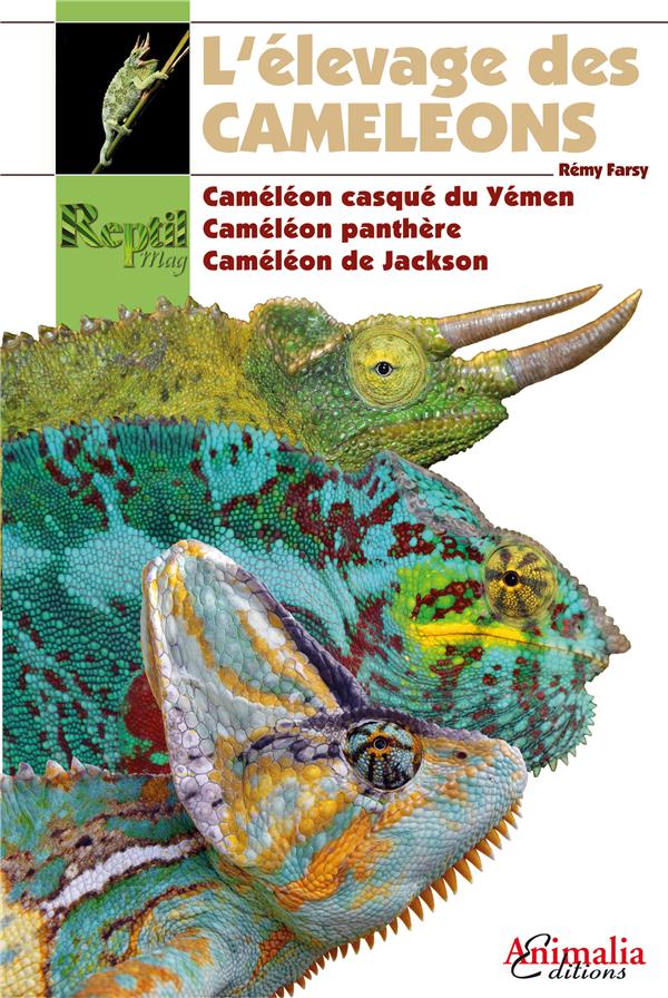 L'élevage des caméléons