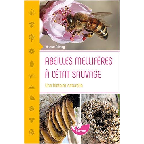 Abeilles mellifères à l'état sauvage. Une histoire naturelle