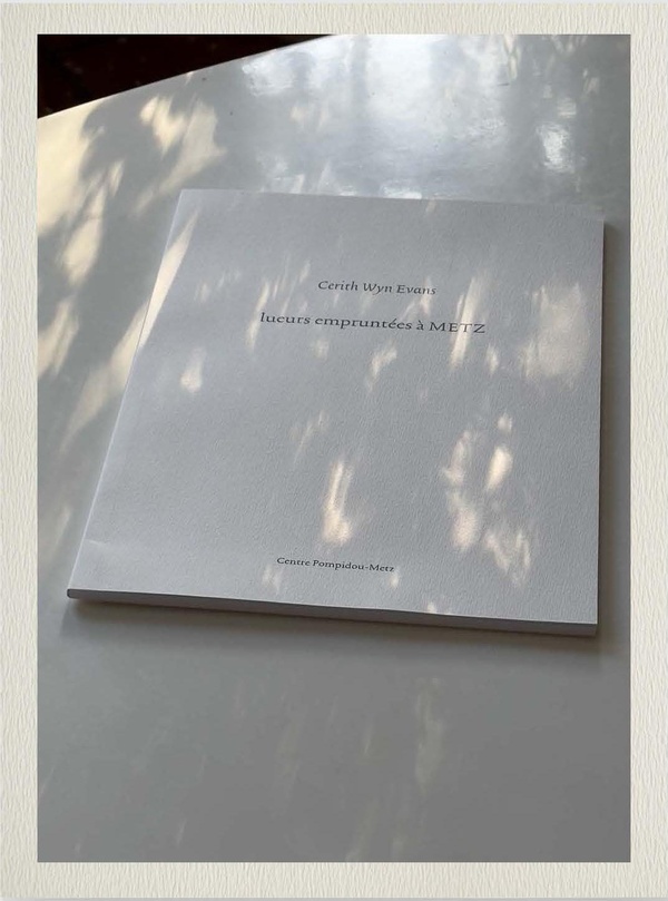 Cerith Wyn Evans. L'exposition, Edition bilingue français-anglais