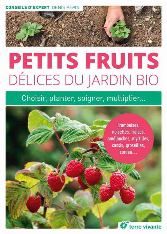 Petits fruits, délices du jardin bio. Choisir, planter, soigner, multiplier... Framboises, kiwis, fr