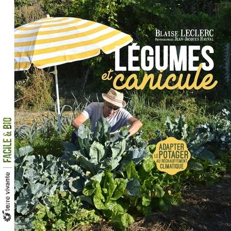 Légumes et canicule. Adapter le potager au réchauffement climatique
