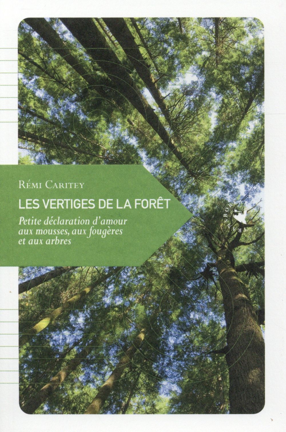 Les vertiges de la forêt. Petite déclaration d'amour aux mousses, aux fougères et aux arbres