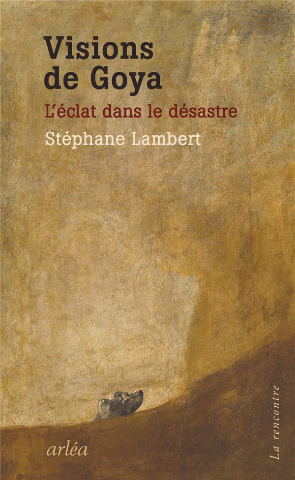 Visions de Goya. L'éclat dans le désastre