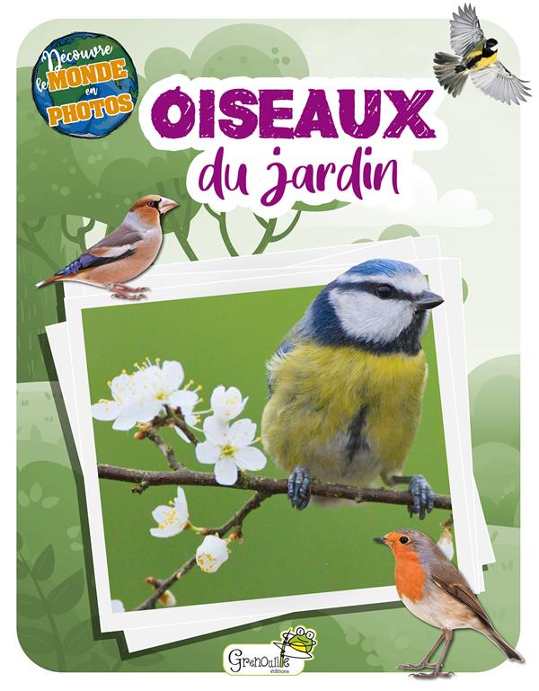 Oiseaux du jardin