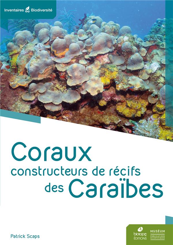 Coraux constructeurs de recifs des caraibes