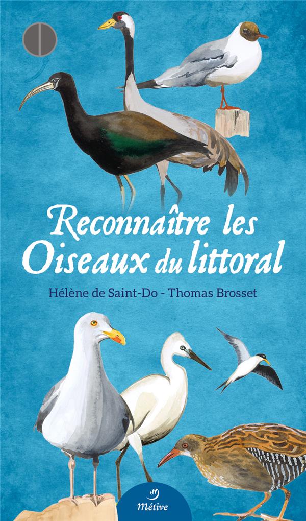 Reconnaître les oiseaux du littoral. Avec 54 fiches