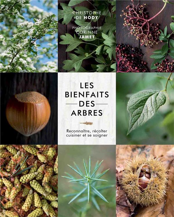 Les bienfaits des arbres. Reconnaître, récolter, cuisiner et se soigner