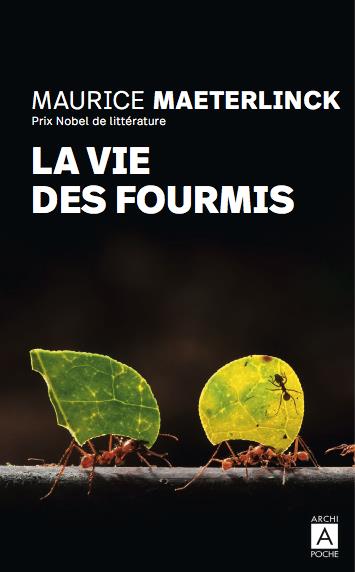 La vie des fourmis
