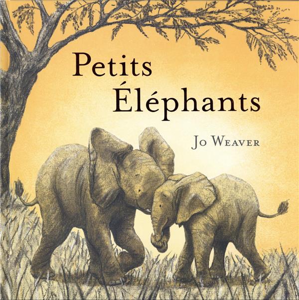 Petits éléphants