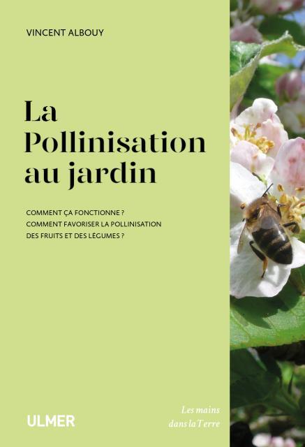 La pollinisation au jardin. Comment ça fonctionne ? Comment favoriser la pollinisation des fruits et