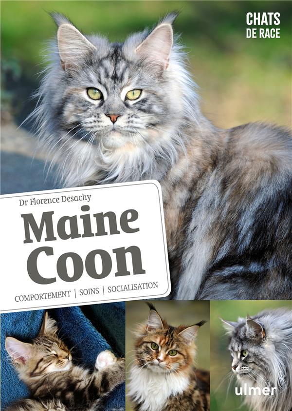 Maine Coon