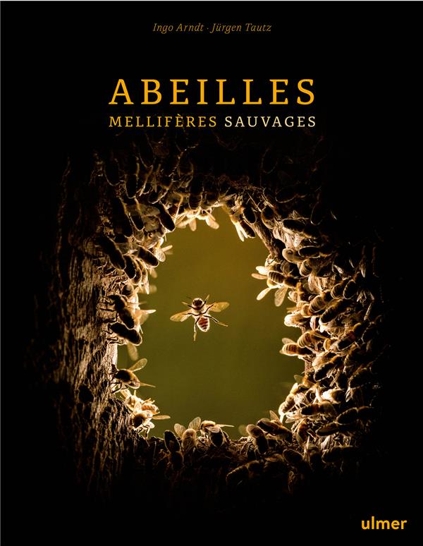 Abeilles mellifères sauvages