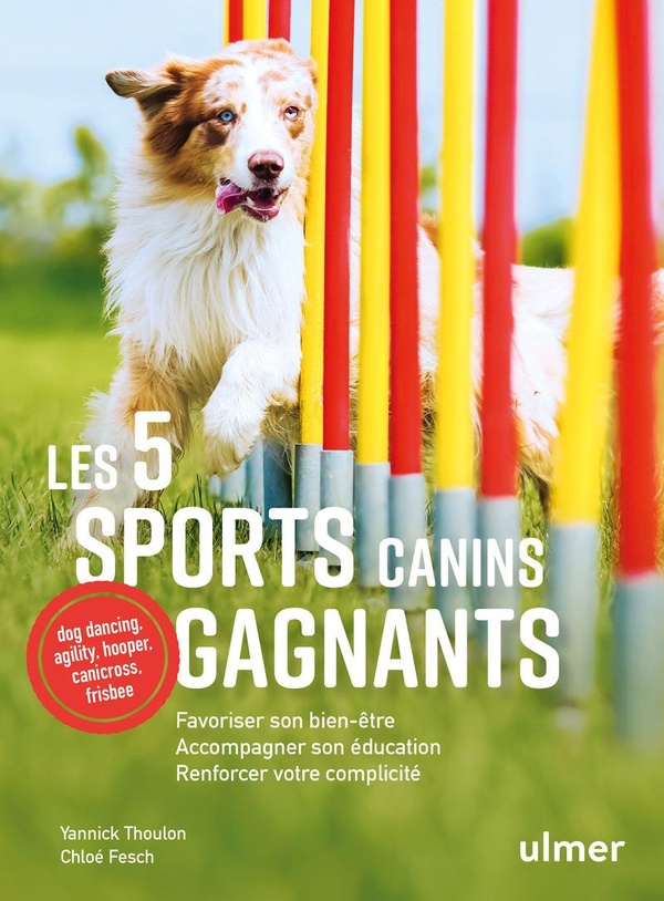 Les 5 sports canins gagnants. Favoriser son bien-être, accompagner son éducation, renforcer votre co