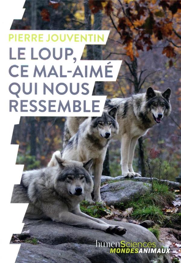 Le loup, ce mal-aimé qui nous ressemble