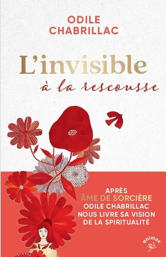 L'invisible à la rescousse