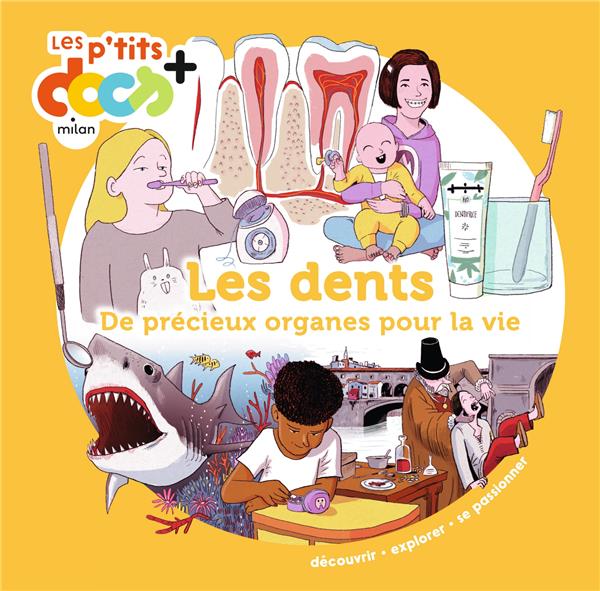 Les dents. De précieux organes pour la vie